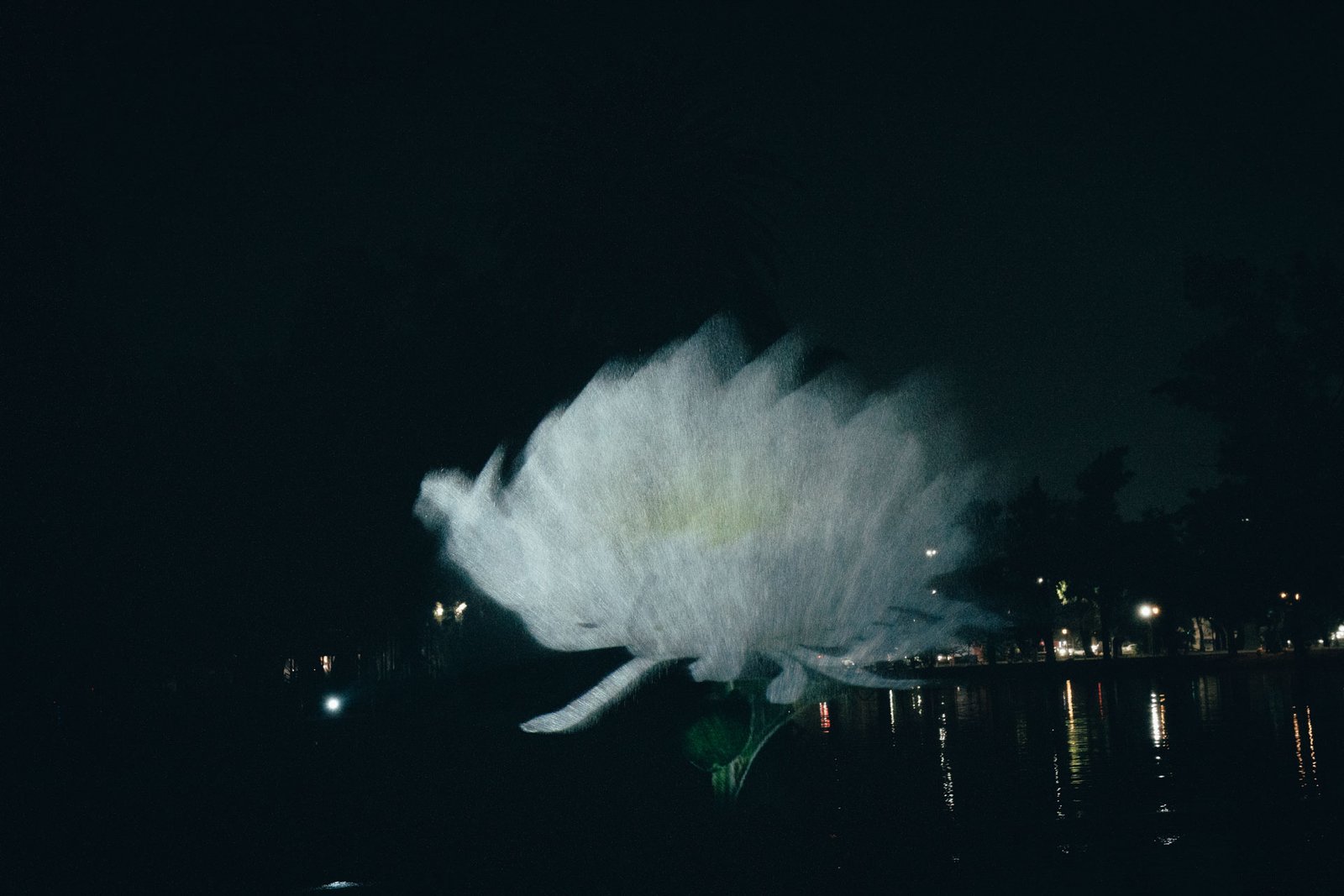 04 DSC00379